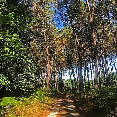 Дом отдыха Laroche Барбаст