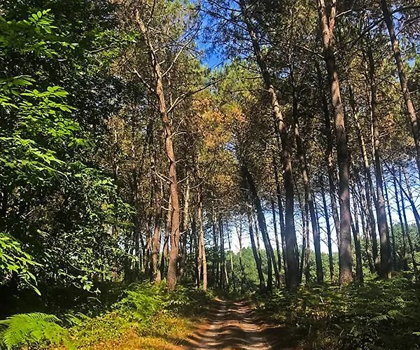 Сasa de vacaciones Laroche Barbaste